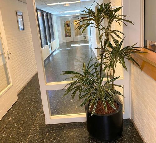 Maatschappelijke organisaties in Zeist groener