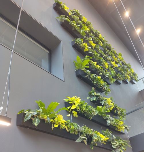 Plantenwand in het Herman Gortercomplex