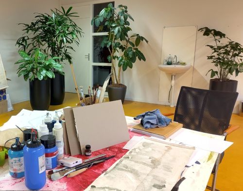 Planten een nieuwe kans geven